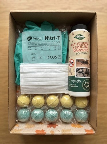 Autumn home pest - home, kit