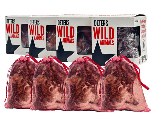 Wild animal fox badgers - wild,