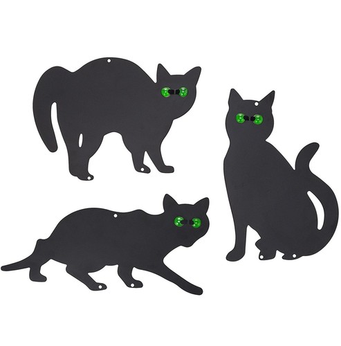 Pack metal cat - 3, (bird