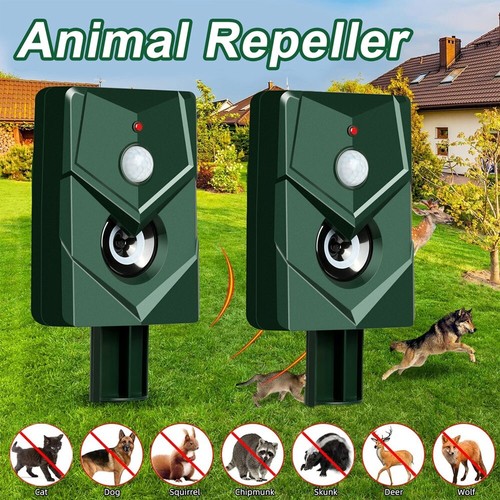 Ultrasonic cat dog fox - cat,