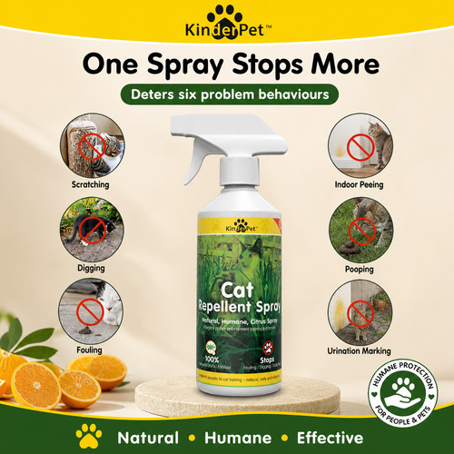 Cat repellent stop cats - repellent,