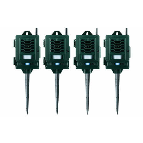 Ultrasonic solar cat - solar,