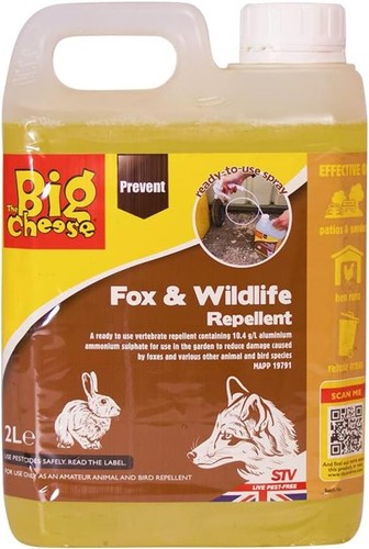 The big cheese - big, wildlife