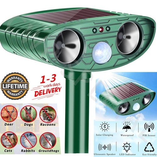 Ultrasonic cat dog - cat,