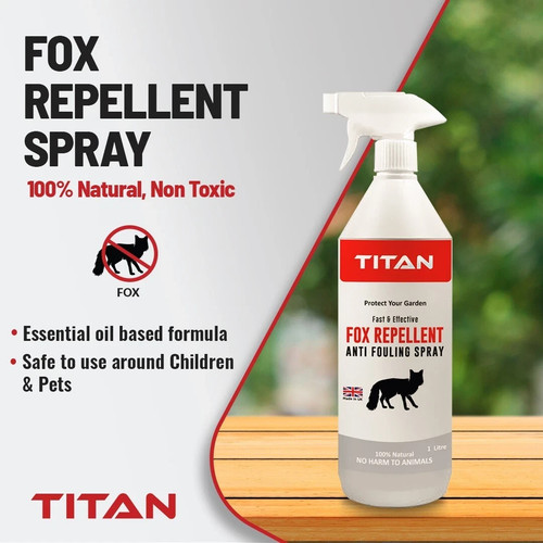 100 natural fox animal - fox,