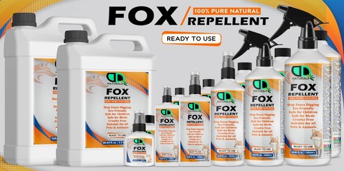 Fox deterrent wild animal - fox,