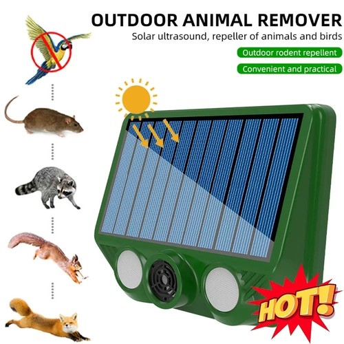 Ultrasonic cat dog - dog, fox